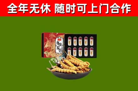 团风县烟酒回收冬虫夏草礼盒.jpg